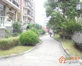 延吉中路117弄小区图片