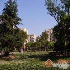 杨家镇小区小区图片