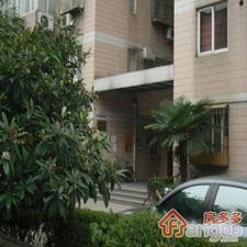 天宝路539号小区图片