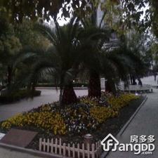 双宝小区小区图片