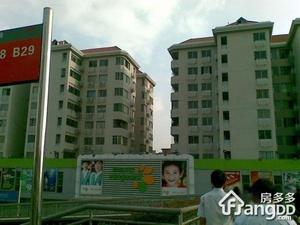 夏园大厦小区图片