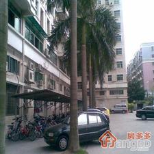 新厦苑小区图片