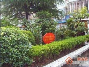 连波路66弄小区图片