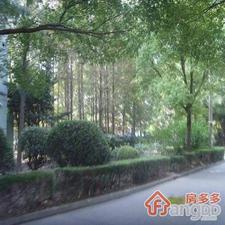 殷行路417弄小区图片