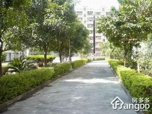 白天鹅公安宿舍小区图片