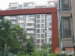 南肖埠庆和苑小区图片