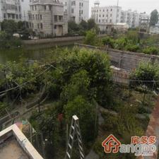 泗泾小区小区图片