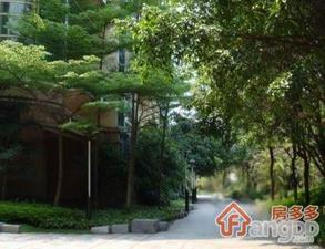 棕榈园小区图片