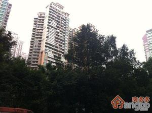 协和新世界小区图片