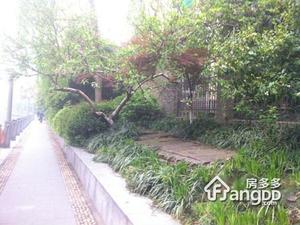 莫干山路70号小区图片