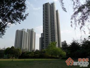 陆家嘴国际华城小区图片