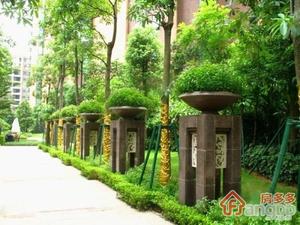 海伦堡流金岁月小区图片