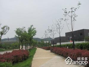 国信慧谷山居小区图片