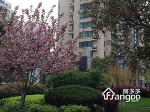 嘉华国际小区图片