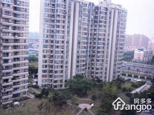 金禾新苑小区图片