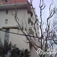 兴国苑小区图片