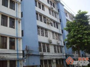 海员路小区小区图片