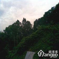 麟腾苑一期小区图片
