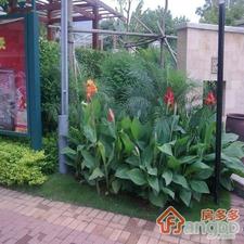 香雅园小区图片