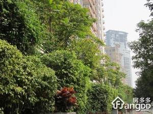 侨鑫汇悦台小区图片