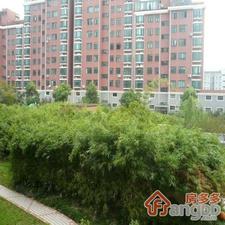 瑞达新苑小区图片