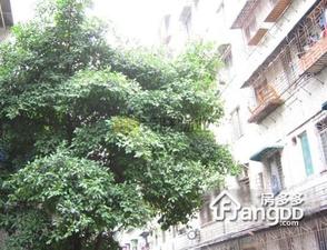 洞企石路小区小区图片