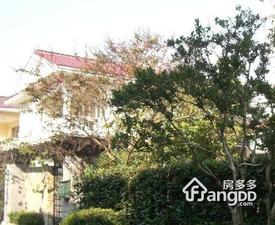 富成别墅小区图片