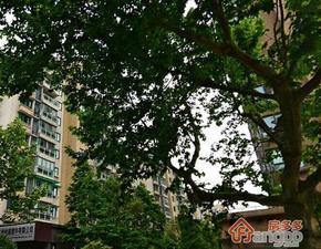 大关公寓小区图片