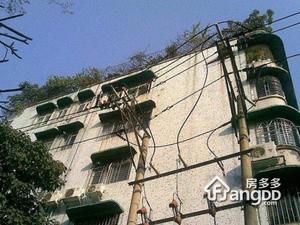 新河浦雅居小区小区图片