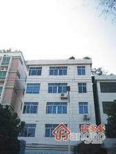 莲花路小区小区图片