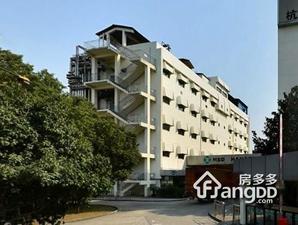 祥符路31号小区图片