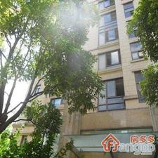 桂巷大楼小区图片