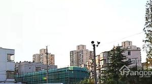 新沪小区小区图片
