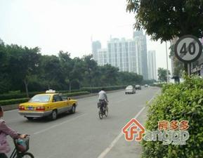 珠江别墅小区图片