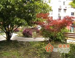 王满小区小区图片