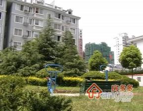 新桥商苑小区图片