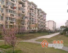 玲桂花苑小区图片