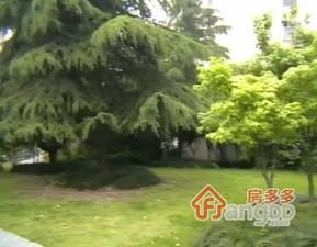 常兴家园小区图片