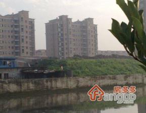 莲花河畔景苑小区图片