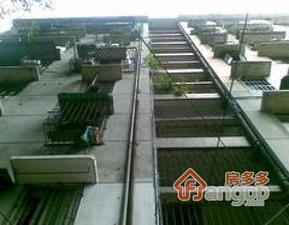 中人小区小区图片