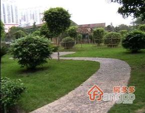 金碧花园小区图片