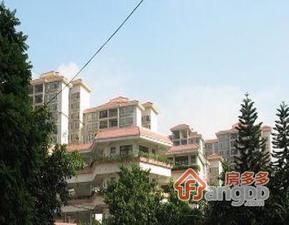 东圃中学宿舍小区图片