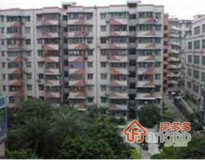 陈岗路11号大院小区图片