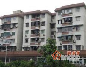 金贵新村小区图片