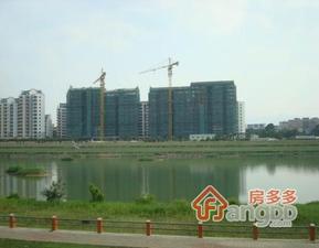 星河绿洲小区图片
