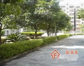 同和教师楼小区图片