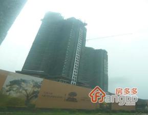 雅居乐岭会小区图片