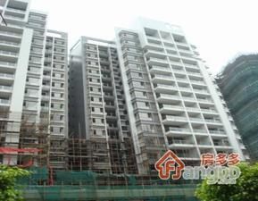 和安大厦小区图片