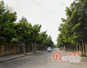 新世界棕榈园小区图片