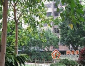 杨箕小区小区图片